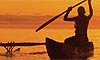 11 Nt Island Sanctuaries