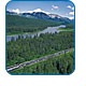 CruiseCheap.com cruises to Alaska!