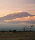 CruiseCheap.com destination Africa.