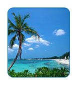 CruiseCheap.com cruises to the Bahamas.