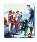 CruiseCheap.com group cruises.