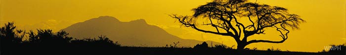Africa Cruises