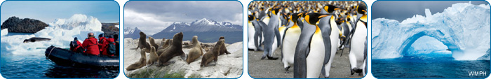 Africa Cruises