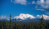 12 Nt Escorted Alaska Cruisetour