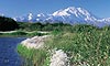 8 Nt Glaciers of Prince William Sound & Denali