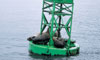 16 Nt Alaska's Inside Passage, Prince William Sound & Denali