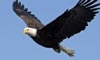 13 Nt Roundtrip Direct to the Wilderness