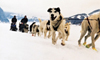 10 Nt Escorted Alaska Cruisetour